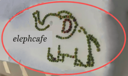 elephantcoffee